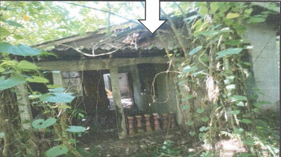 บ้านเดี่ยว 